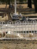 
Jondaryan cemetery, Jondaryan Shire
