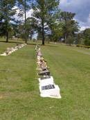 
Kandanga Cemetery, Cooloola Shire

