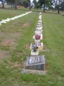 
Kandanga Cemetery, Cooloola Shire
