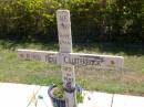 
Alfred Noel (Alf) CLUTTERBUCK,
dad poppy,
29-6-51 - 6-11-05;
Kandanga Cemetery, Cooloola Shire
