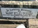 
Rebecca DEMPSEY,
born Scotland,
died 24 May 1900 aged 70 years;
George DEMPSEY, son,
died 20 Oct 1915 aged 52 years;
James DEMPSEY, husband,
died 30 March 1865 aged 40 years,
interred in Brisbane;
John DEMPSEY,
born Skibbereen, Country Cork, Ireland,
died 11 May 1917 aged 64 years;
Bridget DEMPSEY, wife,
born Ballymooney, Kings County, Ireland,
died 14 Dec 1879 aged 29 years;
Kevin FITTON, grandson,
aged 5 months;
Daniel DEMPSEY,
died 10 Sept 1922 aged 73 years;
James DEMPSEY,
died 23 Dec 1928 aged 68 years;
Mary Ellen FITTON, wife mother,
died 13 Sept 1947 aged 69 years;
St Johns Catholic Church, Kerry, Beaudesert Shire

