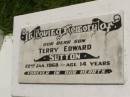 
Terry Edward SUTTON,
son,
died 22 Jan 1968 aged 14 years;
Kilkivan cemetery, Kilkivan Shire
