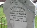 
Ernest Ed WALDOCK,
son,
died 20 March 1912 aged 2 12 years;
E.L. (Maid) WALDOCK,
wife mother,
died 1 July 1948 aged 52 years;
A.M. (Fred) WALDOCK,
father grandfather,
died 3 Nov 1975 aged 78 years;
Kilkivan cemetery, Kilkivan Shire
