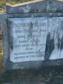 
Patrick MULLNS [MULLINS?],
died 17 June 1926 aged 77 years;
Patrick John,
infant;
Martin,
infant;
Killarney cemetery, Warwick Shire
