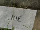 
Albert Hedley Joseph (Joe) EVANS,
son brother,
died 24 Jan 1945 aged 27 years;
Killarney cemetery, Warwick Shire

