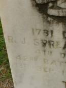 
R.J. SPREADBOROUGH,
died 13 Sept 1958 aged 72 years;
Killarney cemetery, Warwick Shire

