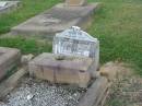 
George William WATSON,
husband of Marjorie WATSON,
died 7 June 1933 aged 46 years;
Killarney cemetery, Warwick Shire
