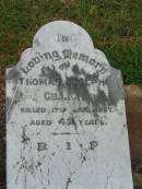 
Thomas Joseph GILLICK,
killed 17 Jan 1927 aged 42 years;
Killarney cemetery, Warwick Shire
