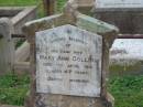 
Mary Ann COLLINS,
wife,
died 7 April 1916 aged 47 years;
Killarney cemetery, Warwick Shire
