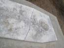 
Lucy Ann BEARE
b 1803 in England
wife of Thomas Hudson BEARE
d: 13 Sep 1837 
arrived ?? barque Duke of York 27? July 1836

Kingscote historic cemetery - Reeves Point, Kangaroo Island, South Australia

