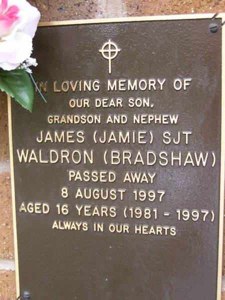 James (Jamie) SJT WALDRON (BRADSHAW),  | son grandson nephew,  | died 8 Aug 1997 aged 16 years (1981 - 1997);  | Lawnton cemetery, Pine Rivers Shire  | 