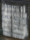 
Charles GUDOPP,
father,
died 27 Sept 1931 aged 71 years;
Emily GUDOPP,
mother,
died 16 June 1958 aged 89 years;
Lawnton cemetery, Pine Rivers Shire
