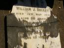 
William J. BUCKBY,
died 14 May 1916 aged 64 years;
Catherine,
died 17 Aug 1919 aged 68 years;
Lawnton cemetery, Pine Rivers Shire

