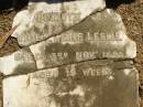 
Viola Lane LESLIE,
died 3 Nov 1898 aged 10 weeks;
Lawnton cemetery, Pine Rivers Shire
