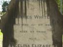 
James WHITE,
died 5 Aug 1898 aged 53 years;
Angelina Elizabeth,
wife,
died 26 Dec 1893 aged 35 years;
Catherine,
second wife,
died 30 May 1937 aged 82 years;
Lawnton cemetery, Pine Rivers Shire

