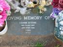 
Stephanie GUTTERIDGE,
died 22 March 1988 aged 11 days;
Lawnton cemetery, Pine Rivers Shire
