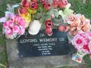 
Lexie Valma THIES,
died 22 Aug 1995 aged 60 years;
Lawnton cemetery, Pine Rivers Shire
