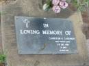 
Cameron K. GARDINER,
died 11 July 1990 aged 13 days;
Lawnton cemetery, Pine Rivers Shire
