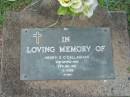 
Henry G. OCALLAGHAN,
died 29 Dec 1987 aged 76 years;
Lawnton cemetery, Pine Rivers Shire
