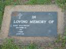 
Baby Wilkinson,
died 1973 aged 2 hours;
Lawnton cemetery, Pine Rivers Shire
