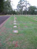 
Lawnton cemetery, Pine Rivers Shire
