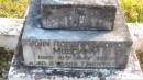 
John Robert Lloyd MULCAHY
d: 10 May 1926 aged 5 years 7 months

Legume cemetery, Tenterfield, NSW


