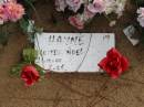 
Lester Noel HAYNE, b:21-Oct-1944,D:?-Feb-2005
Logan Village Cemetery, Beaudesert Shire
