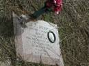 
Derek A. DUNMORE, 4-12-1970 - 1-1-1992 aged 21;
Logan Village Cemetery, Beaudesert Shire
