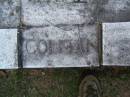 
Elizabeth Esther COLMAN,
died 6 Jan 1945 aged 75 years;
Lower Coomera cemetery, Gold Coast
