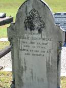 
Rosalie SCHIFCOFSKE
29 Jun 1902, aged 59
(erected by her son F.S. and daughter)
Lowood General Cemetery

