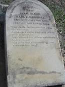
Karl L. VORPAGEL, born 27 Jan 1839, died 5 Nov 1885;
Lowood Trinity Lutheran Cemetery (Bethel Section), Esk Shire
