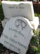 
Ethel Emilia PROFKE, born 5 Mar 1910 died July 1911;
Lowood Trinity Lutheran Cemetery (Bethel Section), Esk Shire
