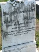 
Wilhelmine SCHLOSS, died 28 Apr 1921 aged 48 years;
Lowood Trinity Lutheran Cemetery (Bethel Section), Esk Shire

