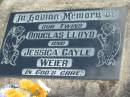 
Douglas Lloyd and Jessice Gayle WEIER, twins;
Lowood Trinity Lutheran Cemetery (Bethel Section), Esk Shire

