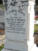 
Walter G. PROFKE, died 22 Nov 1927 aged 20 years, son;
Lowood Trinity Lutheran Cemetery (Bethel Section), Esk Shire

