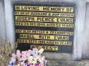
Joseph Pierce EVANS, husband father,
died 29 Dec 1949 aged 52 years;
Mabel Ruth EVANS, mother grandmother,
died 5 Sept 1988 aged 84 years;
Ma Ma Creek Anglican Cemetery, Gatton shire
