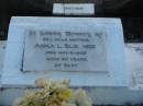 
Anna L. BLIESNER, mother,
died 6 Nov 1958 aged 60 years;
Marburg Lutheran Cemetery, Ipswich
