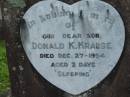 
Donald K. KRAUSE,
died 27 Dec 1954 aged 2 days;
Marburg Lutheran Cemetery, Ipswich
