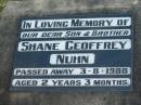 
Shane Geoffrey NUHN, son brother,
died 3 Aug 1988 aged 2 years 3 months;
Marburg Lutheran Cemetery, Ipswich
