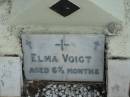 
Elma VOIGT,
aged 6 and a half months;
Marburg Lutheran Cemetery, Ipswich
