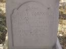 
Charles Joseph CONNORS,
second son of H. & A. CONNORS,
died 4 Feb 1902 ages 29 years;
Henry CONNORS,
native of Co. Tipperary Ireland,
died Toowoomba 15 March 1871 aged 40 years;
Meringandan cemetery, Rosalie Shire
