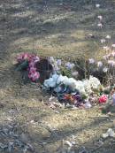 
Meringandan cemetery, Rosalie Shire
