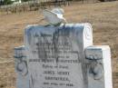 
Martha Jane,
wife of James Henry KIRKPATRICK,
died 16 Feb 1924 aged 58 years;
James Henry KIRKPATRICK.
died 12 April 1936 aged 75 years;
Grandma CHORLTON,
died 2 July 1928 aged 97 years;
Meringandan cemetery, Rosalie Shire
