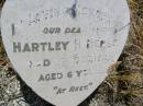 
Hartley H. MENGE,
son,
died 11 Dc 1929 aged 6 years;
Milbong St Lukes Lutheran cemetery, Boonah Shire
