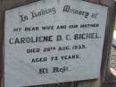 
Caroliene D C BICHEL
28 Aug 1935, aged 75
Minden Zion Lutheran Church Cemetery
