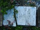 
Walter PAGEL
1917 - 1945

JIM

MindenCoolana - St Johns Lutheran 
