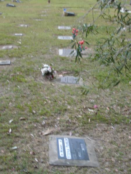 Mooloolah cemetery, City of Caloundra  |   | 