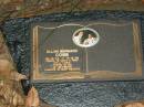 
Allan Bernard COBB,
30-10-44 - 6-12-95;
Mooloolah cemetery, City of Caloundra

