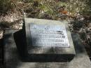 
Henry C DOBBS
8 Aug 1929
Aged 1 year 4 months

Mt Walker HistoricPublic Cemetery, Boonah Shire, Queensland

