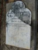 
Lydia Emma SOMMER
b: 18 Dec 1890, d: 16 Oct 1895
Mt Cotton  Gramzow  Cornubia  Carbrook Lutheran Cemetery, Logan City

